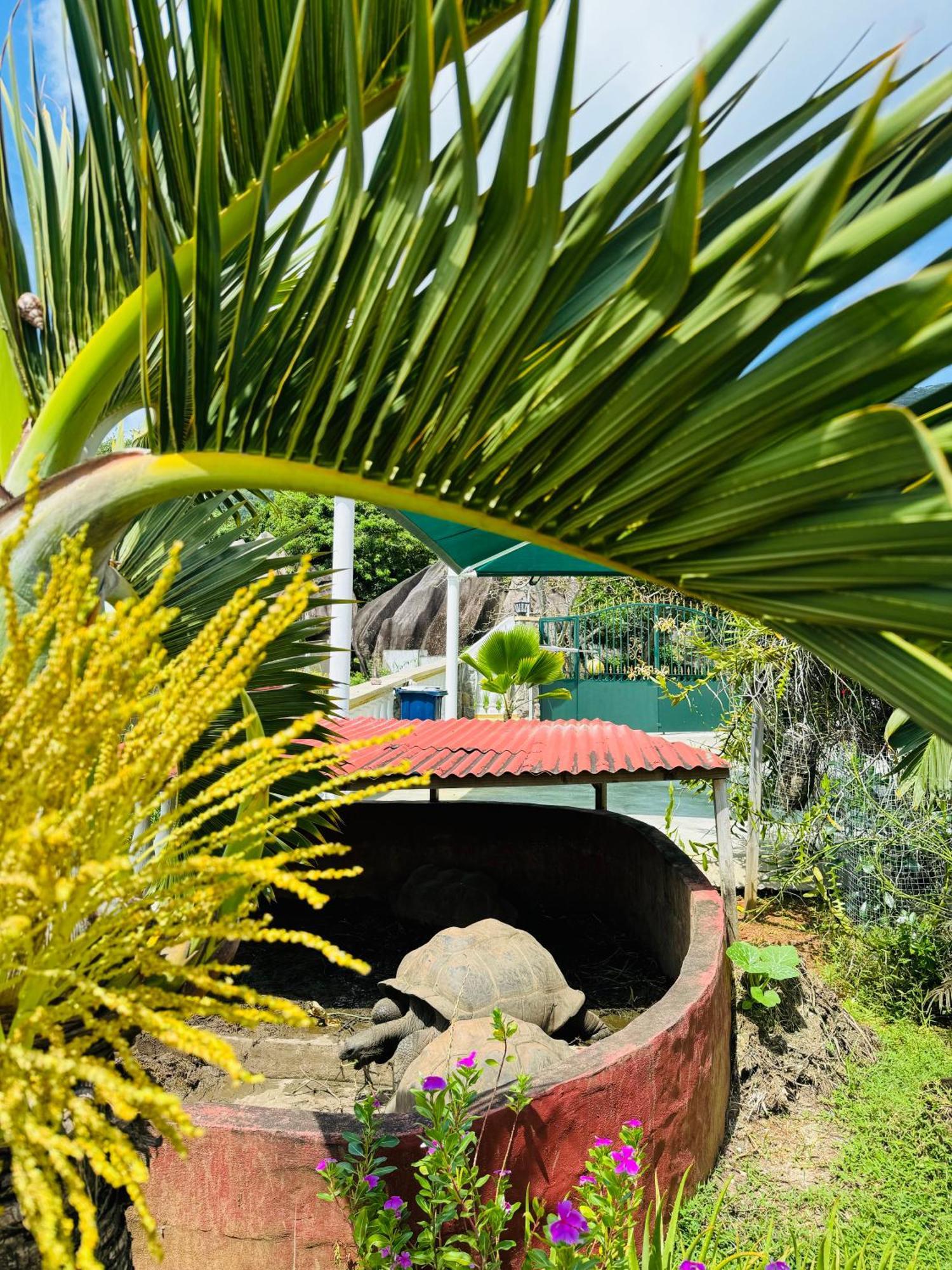 Apartment D Bes Self Catering *